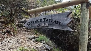 Göynük yaylası yürüyüş videosu isterseniz arka plana doğal müzik koyarak izleyin çünkü boş yaptım😆 [upl. by Caddaric]