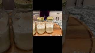 How to Make William Sonoma Biscuit Mix homemadecooking [upl. by Otilegna489]