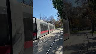 Tram 1 Schottenring stop Vienna Austria vienna austria viennacity viennatoday [upl. by Brody427]