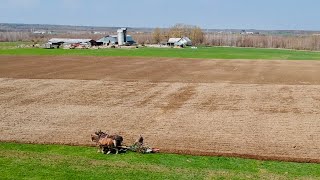 THE PLOUGHMAN ♫♫♫ Horses Plowing A Field [upl. by Pfaff]