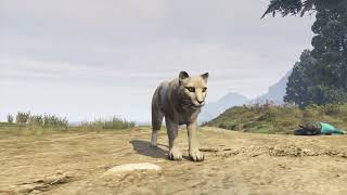 PEYOTES GTA5 MODO HISTORIA PUMA [upl. by Foote]