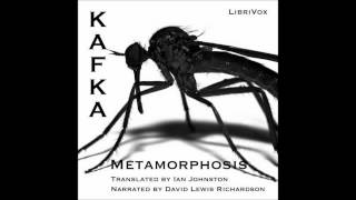 The Metamorphosis by Franz Kafka Free Audio Book in English Language [upl. by Plunkett]