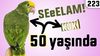 50 YAŞINDA PAPAĞANI KENDİNİ YARALAMIŞ 😲 KUKİ DoBiDa 223 [upl. by Yarb]