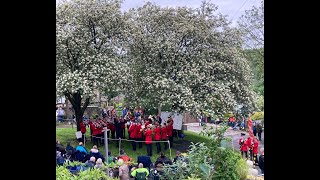 Whit Friday 2024 Dobcross Band Contest FULL playlist 70 bands Running order in description [upl. by Sabian631]