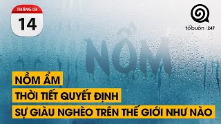 Nồm ẩm Thời tiết quyết định sự giàu nghèo trên thế giới như nào  TỔ BUÔN 247 14032024 [upl. by Assilrac]