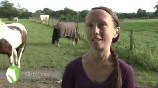 Lavant House Stables  Adult Riding [upl. by Heck]