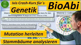 Genetik Anwendungsaufgabe AFB II Art der Mutation herleiten  Stammbaum analysieren  BioAbi 2023 [upl. by Lindo]