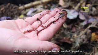 Instalan composteras para producir abono orgánico en los Centros Proteger La María y CURNN [upl. by Peednus]