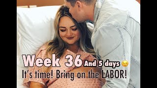 Twin Pregnancy Week 36 Laboring Time  Part I [upl. by Nedla]