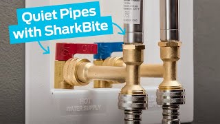 How to Quiet Pipes with SharkBite Water Hammer Arrestors [upl. by Eiclehc183]