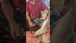 Great Huge Batta Fish Cutting Skills Live In Fish Market  shorts [upl. by Millie]