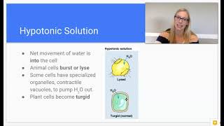 2 8 Tonicity amp Osmoregulation Part 2 [upl. by Coward331]