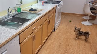 Retros kitchen makeover DIY kitchen makeover on a budget [upl. by Ila]