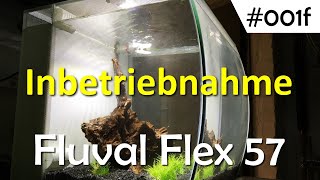 001f Inbetriebnahme Fluval Flex 57 [upl. by Himelman]