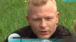 TV Reportage Team Black Forest Parkour Freiburg Freerunning [upl. by Woodford59]