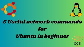 5 Useful Network Commands in UbuntuampLinux for Beginner ubuntu linuxcommand ubuntulinux [upl. by Delphina583]