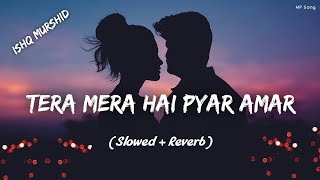 Tera Mera Hai Pyar Amar Slowed  Reverb Ishq Murshid  Ahmed Jahanzeb  MF Song [upl. by Terrie]