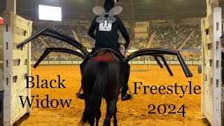 Mustang Magic 2024 Freestyle Craig Moore and Black Widow [upl. by Aylatan]