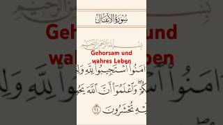 Gehorsam und wahres Leben [upl. by Inan]