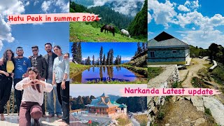 Narkanda most beautiful place near shimla  Hatu Peak Narkanda  shimla best place to visit [upl. by Ahsikcin]