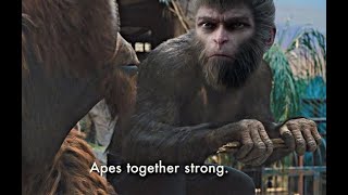 Apes together stronk  Black Myth Wukong 4 [upl. by Auhoj588]