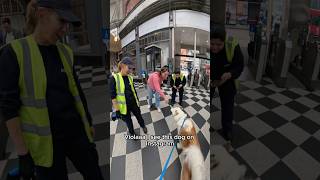 Interactions with my dog doglover husky youtubeshorts shorts instagram viral [upl. by Goody]