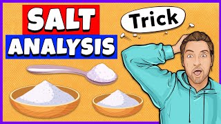 Salt Analysis Class 12 Practical [upl. by Bois]