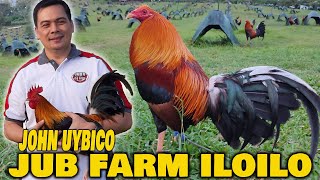 ILOILO  Best Big Farm In The Philippines Feeding Time JUB FARM  JOHN UY BICO [upl. by Gaeta]