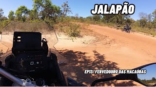 JALAPÃO  EP13  Fervedouro Das Macaúbas  BIG TRAIL BMW F850GS CB500X [upl. by Wang]