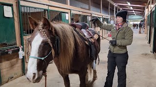 How To Put a Western Saddle on a Horse [upl. by Packston]