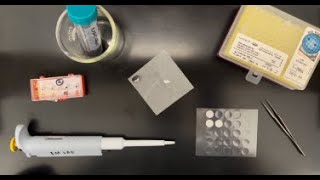 Preparing a Sample for SEM Analysis that is Dispersed in a Liquid [upl. by Vanthe]