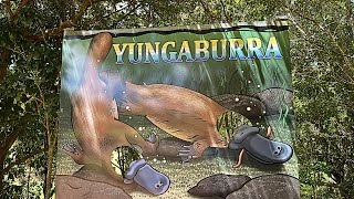 Yungaburra  An Queensland Market Town Adventure [upl. by Htelimay11]