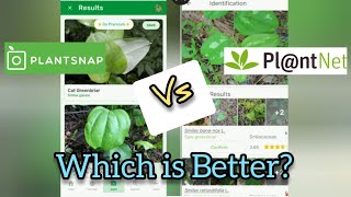 PlantSnap vs PlantNet Which is Better  Anns Tiny Life [upl. by Llerrod554]