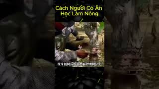 Cách Người Có ăn Học Làm Nông [upl. by Artamas469]