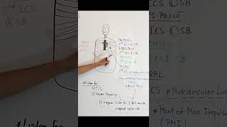 Cardiac Landmarks anatomyandphysiology nursingskills nursingschool [upl. by Miko]