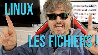 Découvrir Linux 4 Manipuler les fichiers et larborescence [upl. by Crawford]