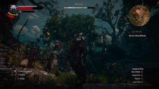 THE WITCHER 3  BLOOD AND WINE  COMO MATAR BRUXA MÁ [upl. by Alexa]