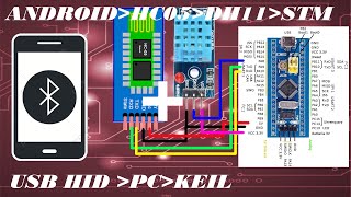 STM32  HC05  DHT11  USB HID  KEIL part3 [upl. by Buchalter]