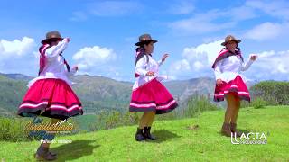 LOS CORDILLERANOS DEL PERÚ  PAÑUELO ITALIANO  HUAYLIA [upl. by Bradleigh]