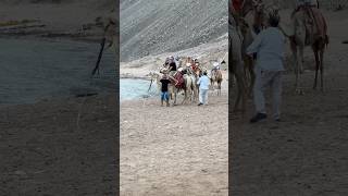 Önce korktumegypt safari shortsvideo travel safaritour shortvideo gezi keşfet vlognature [upl. by Oiramed184]