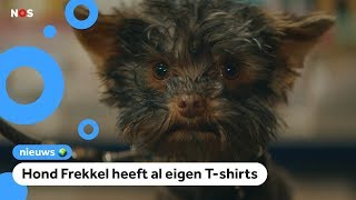 Dit is de beste tvreclame van 2018 [upl. by Irv26]