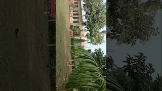 Gangapur Campus MGKVP COLLEGE SHORTS YOUTUBESHORTS [upl. by Adnahsor]