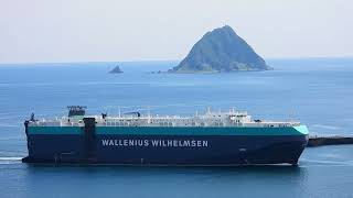 1130630 華倫威爾森WALLENIUS WILHELMSEN台汎輪TAIPAN進出基隆港 [upl. by Tenneb361]