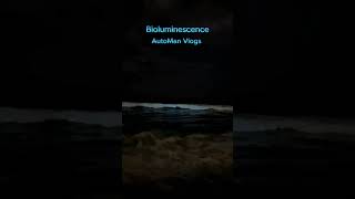 Bioluminescence📍palavakkam Beach Bioluminescence experience automan videos vlogs travel love [upl. by Miarzim749]