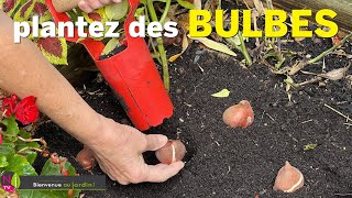 PLANTEZ EN AUTOMNE LES BULBES QUI FLEURISSSENT AU PRINTEMPS AVEC LES BONS CONSEILS DE NOS EXPERTS [upl. by Einnal]