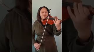 Toss A Coin To Your Witcher Violin violincover violinperformance shorts [upl. by Cruce]