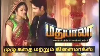 madhubala serial full story and climax Explained in Tamil [upl. by Anihc]