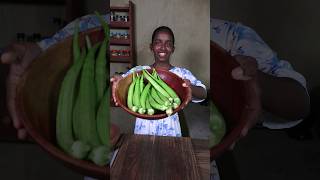 Okra Recipe ❤ Village Cooking [upl. by Hgeilhsa739]