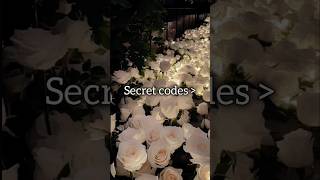 Secret codes 🫠aestheticeditz shortsvideo secret aesthetic song slowed [upl. by Tortosa179]