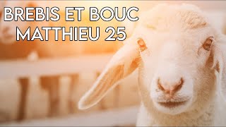 Brebis vs Boucs  Matthieu 25  Message Biblique [upl. by Nottap]